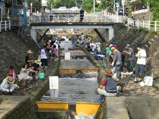 0703masu1.jpg