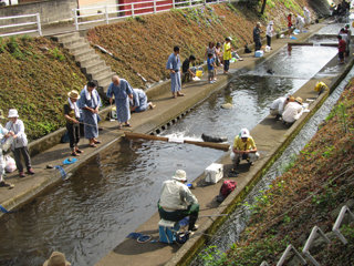 0703masu2.jpg