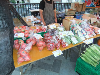 0825touhoku02.jpg