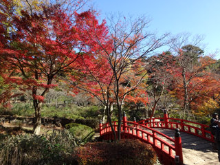 1203momiji4_2014120408164841e.jpg