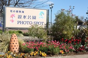 親水公園フォトスポット4d412850008