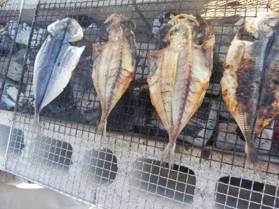 20110915_2043231.jpg