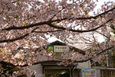 20120401.jpg