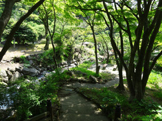baien_20130624072328.jpg