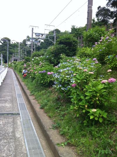 convert_20110614075311.jpg