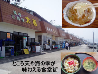 hatusima2.jpg