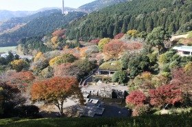 kouyou261123-2.jpg