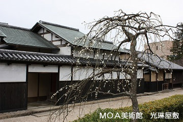 moa-kourinyasiki.jpg