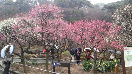 top_20140205080206ae2.jpg