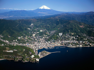 zenkei1_20111109082549.jpg